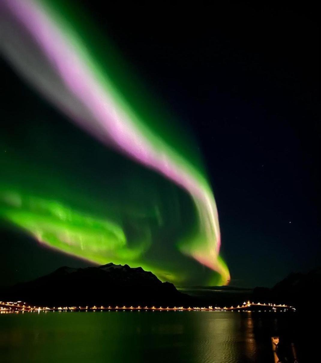 Kaldfjord Sea House Villa Tromsø Kültér fotó