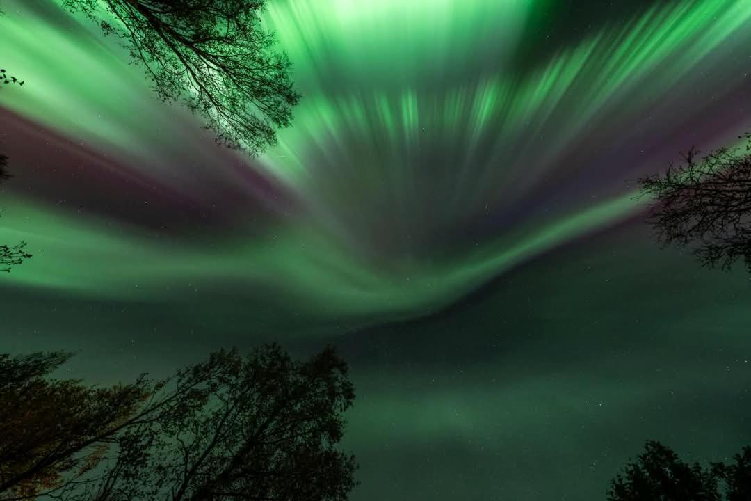 Kaldfjord Sea House Villa Tromsø Kültér fotó