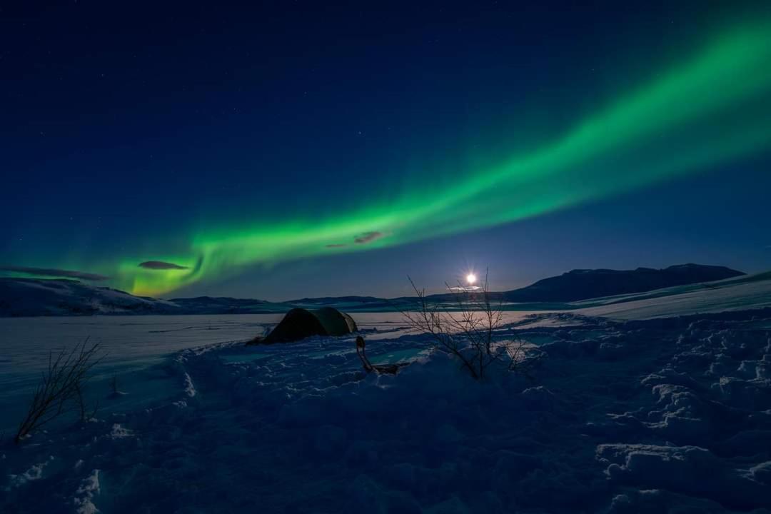 Kaldfjord Sea House Villa Tromsø Kültér fotó