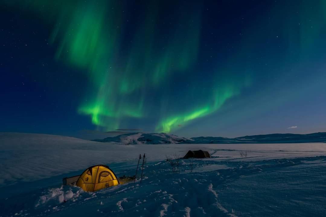 Kaldfjord Sea House Villa Tromsø Kültér fotó