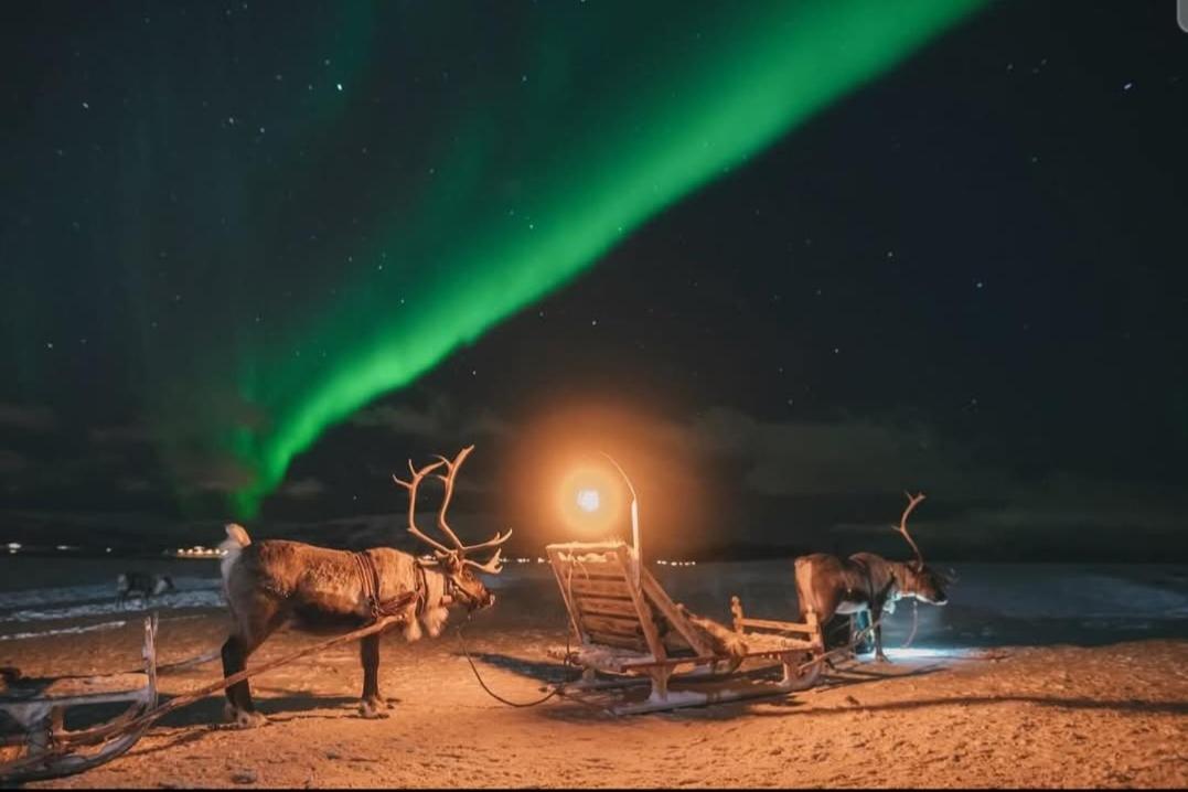 Kaldfjord Sea House Villa Tromsø Kültér fotó